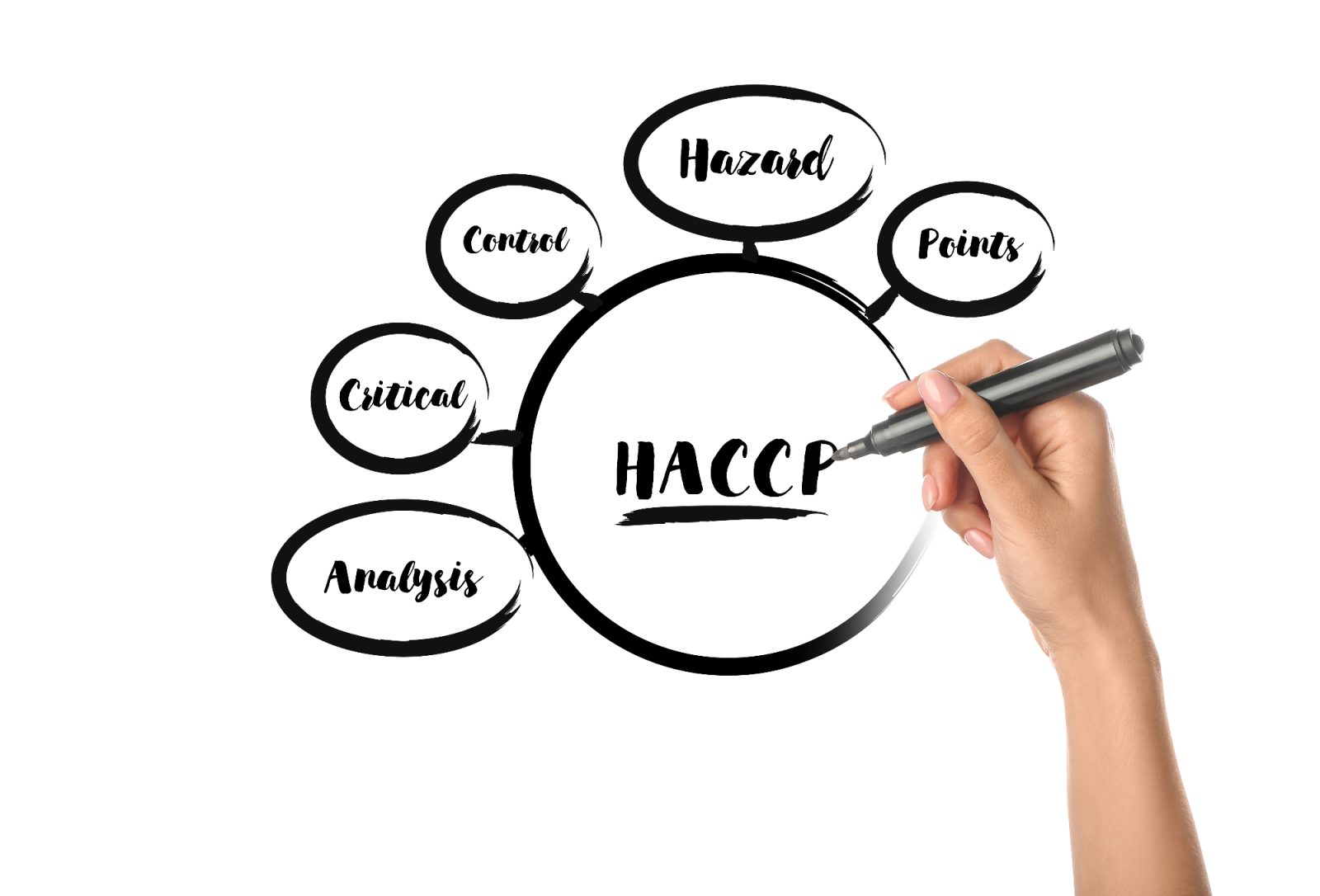 Tudi letos so pripravili haccp izobraževanje